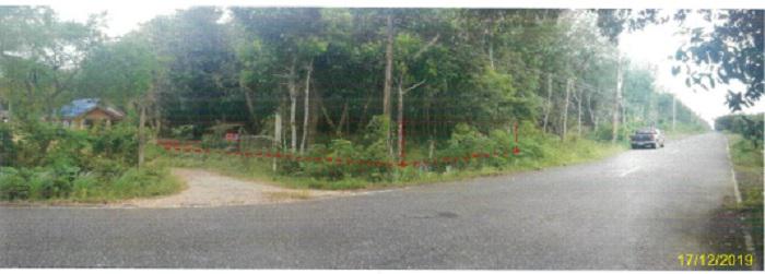 บ้านเดี่ยวหลุดจำนอง ธ.ธนาคารกรุงไทย พัทลุง ป่าบอน วังใหม่