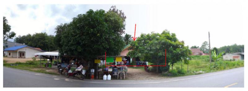 ที่ดินพร้อมสิ่งปลูกสร้างหลุดจำนอง ธ.ธนาคารออมสิน พัทลุง ป่าบอน โคกทราย