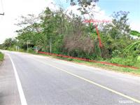 ที่ดินว่างเปล่าหลุดจำนอง ธ.ธนาคารกสิกรไทย พัทลุง เขาชัยสน หานโพธิ์